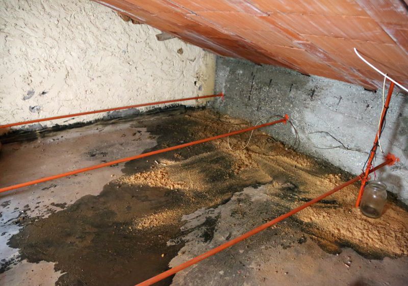 Weather And Moisture Damage In Outdoor Structures