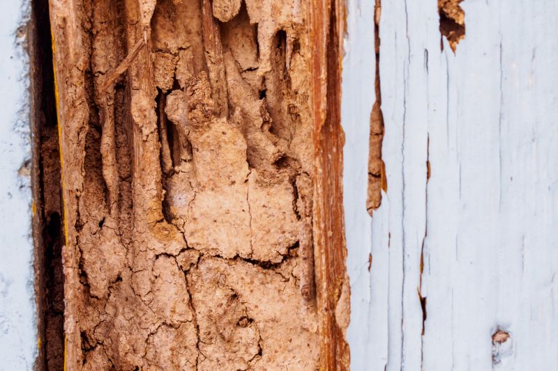 Weather And Moisture Damage In Outdoor Structures